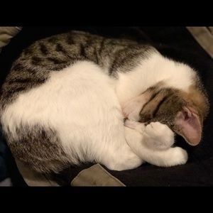 Meet your Posher, Tracy